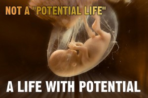 life-potential